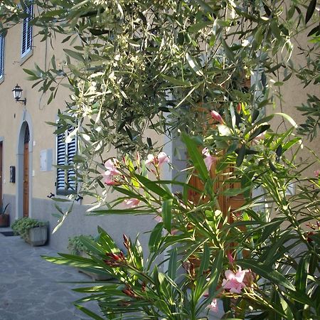 Appartement Casa Girella à Terontola Extérieur photo